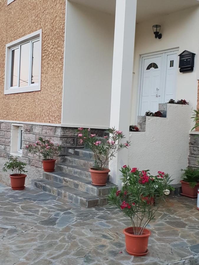 Pretty Garden Villa Orşova Exteriör bild