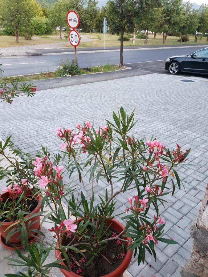 Pretty Garden Villa Orşova Exteriör bild